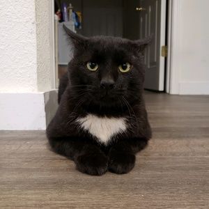 Meet your Posher, Alex